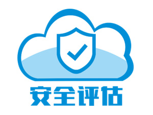  安全评价